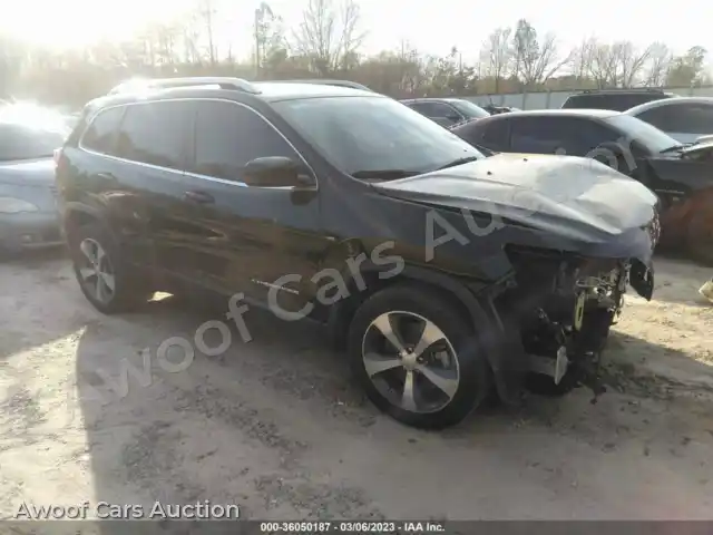 2019 Jeep Cherokee 1C4PJLDB8KD434347 — Iaai auction photo 1