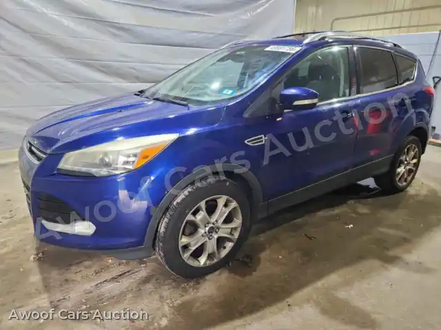 2014 Ford Escape 1FMCU9J97EUA73008 — Copart auction photo 1