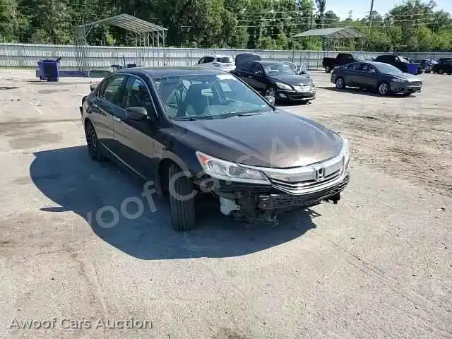 2016 Honda Accord 1HGCR2F37GA240670 — Copart auction photo 13