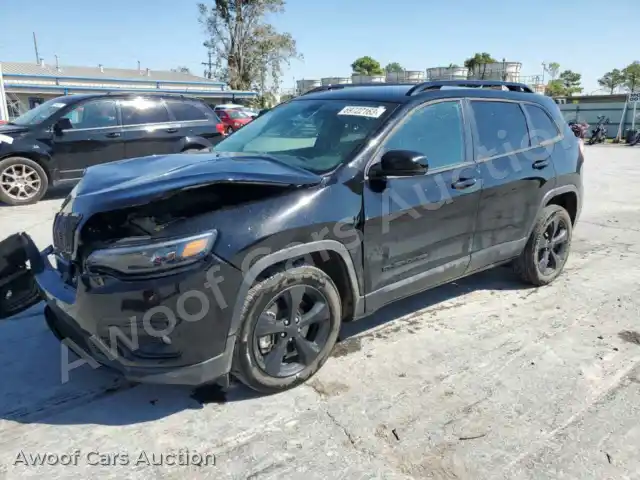 2019 Jeep Grand Cherokee 1C4PJLLX0KD490375 — Copart auction photo 1