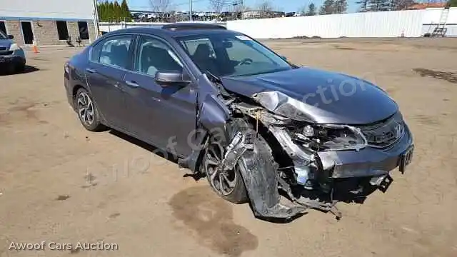 2016 Honda Accord 1HGCR2F79GA242603 — Copart auction photo 14