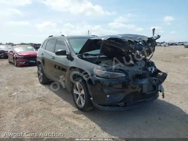 2019 Jeep Cherokee 1C4PJLLB6KD403244 — Iaai auction photo 1