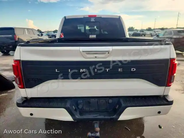2016 Ford F150 1FTEW1EGXGFC33066 — Copart auction photo 6