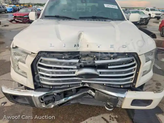 2016 Ford F150 1FTEW1EGXGFC33066 — Copart auction photo 11