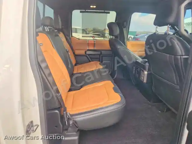2016 Ford F150 1FTEW1EGXGFC33066 — Copart auction photo 10