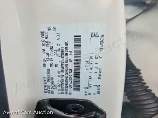 2016 Ford F150 1FTEW1EGXGFC33066 — Copart auction photo 12