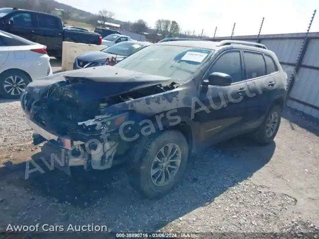 2020 Jeep Cherokee 1C4PJLLB1LD556051 — Iaai auction photo 2