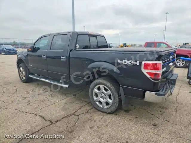 2014 Ford F150 1FTFW1ET8EFA09793 — hoton gwanjo Copart na 2