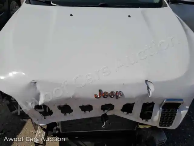 2019 Jeep Grand Cherokee 1C4PJLCB4KD241677 — Copart auction photo 12
