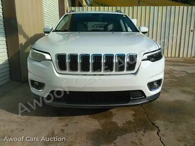2019 Jeep Grand Cherokee 1C4PJLDB2KD347785 — Manheim auction photo 9