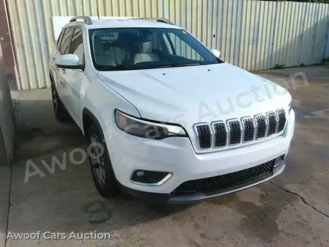 2019 Jeep Grand Cherokee 1C4PJLDB2KD347785 — Manheim auction photo 10