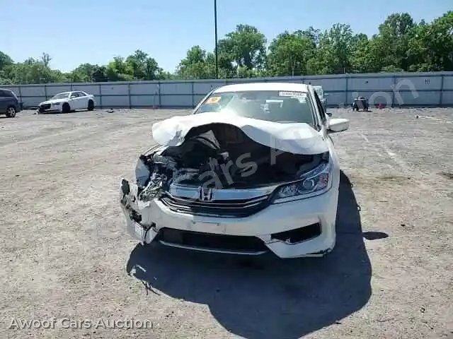 2016 Honda Accord 1HGCR2F60GA087365 — Copart auction photo 13
