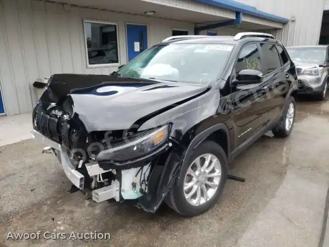2019 Jeep Cherokee 1C4PJLCB2KD333080 — Copart auction photo 2