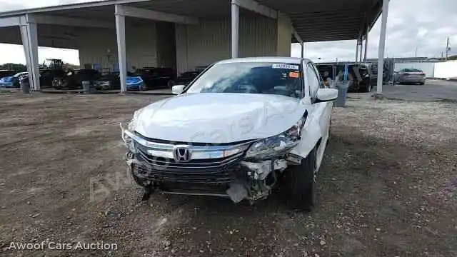 2016 Honda Accord 1HGCR2F54GA146196 — Copart auction photo 13