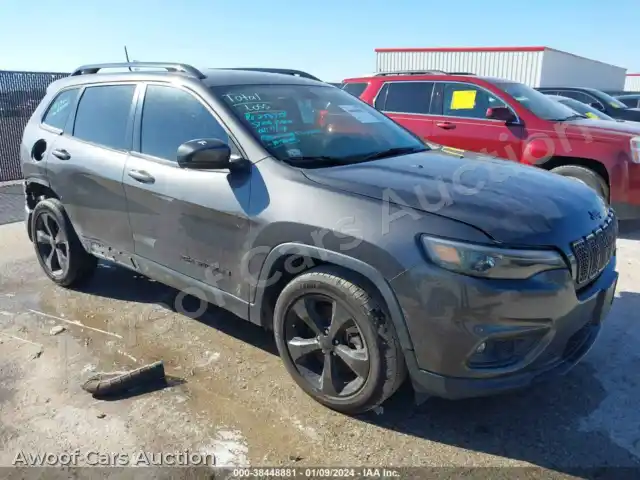 2019 Jeep Cherokee 1C4PJLLB0KD458076 — Iaai auction photo 1