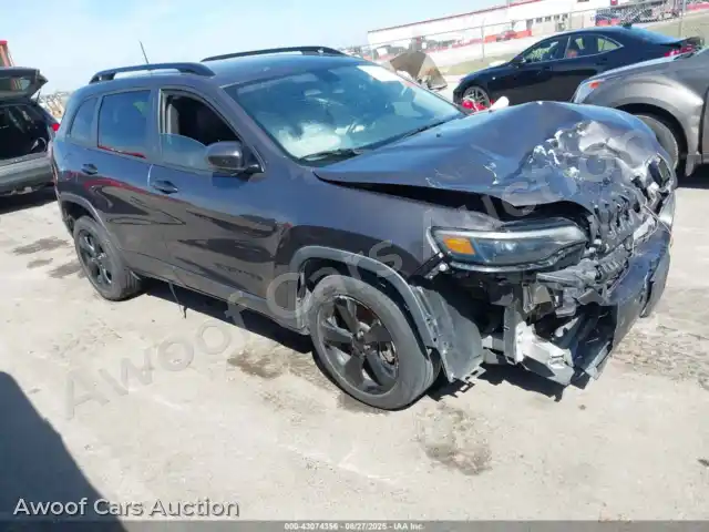 2019 Jeep Cherokee 1C4PJLLB0KD458076 — Iaai auction photo 1