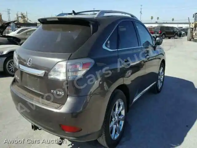 2010 Lexus RX350 JTJZK1BA6A2410415 — Copart auction photo 4