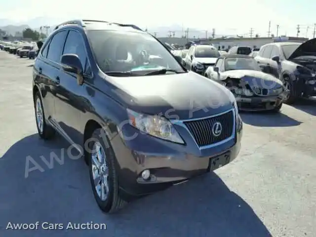 2010 Lexus RX350 JTJZK1BA6A2410415 — Copart auction photo 1