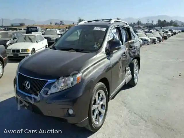 2010 Lexus RX350 JTJZK1BA6A2410415 — Copart auction photo 2