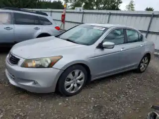 2010 Honda Accord