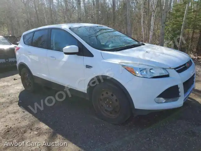2016 Ford Escape 1FMCU0G98GUC68976 — Copart auction photo 4