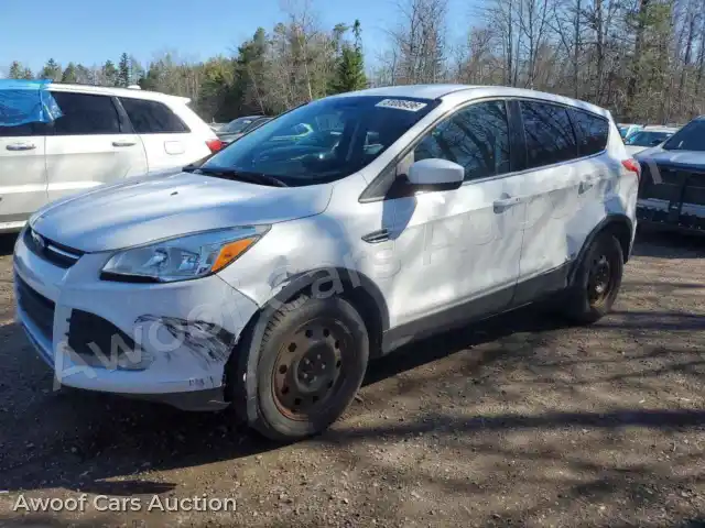 2016 Ford Escape 1FMCU0G98GUC68976 — Copart auction photo 1
