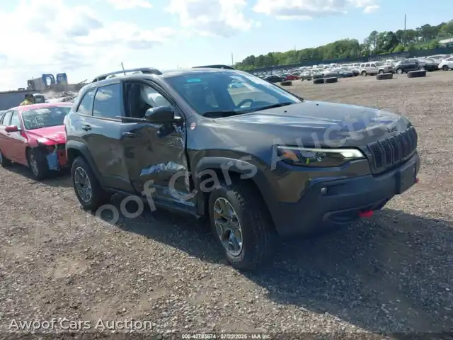 2022 Jeep Cherokee 1C4PJMBX7ND546193 — Iaai auction photo 1