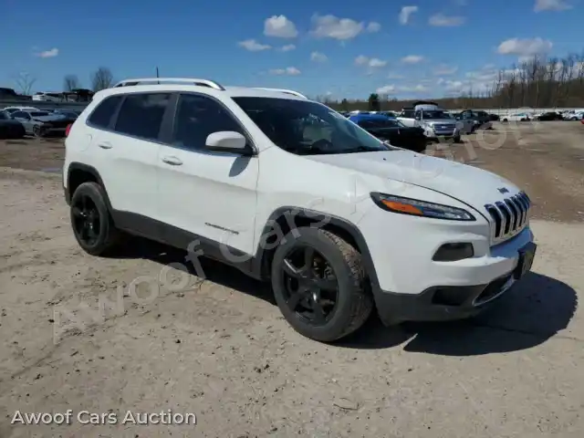 2016 Jeep Grand Cherokee 1C4PJMDB9GW240234 — Copart auction photo 4