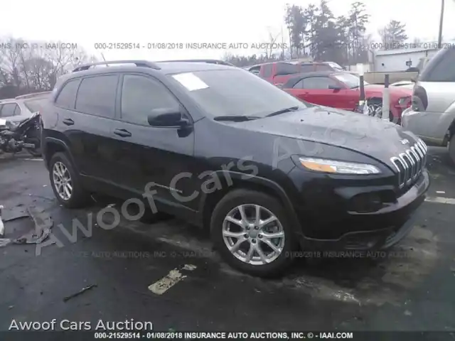 2016 Jeep Cherokee 1C4PJLAB5GW249835 — Iaai auction photo 1