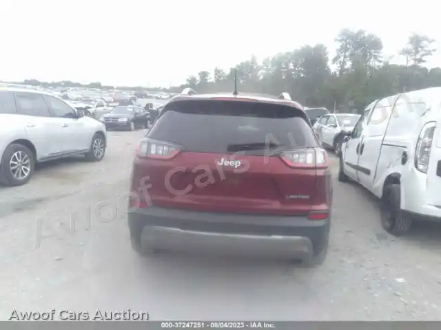 2019 Jeep Cherokee 1C4PJLDB9KD243424 — Iaai auction photo 16