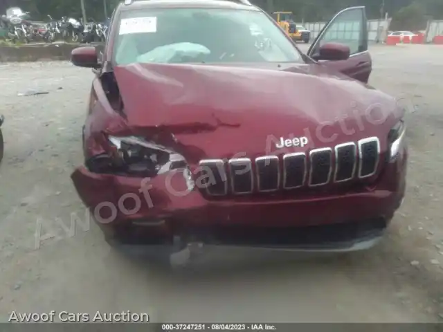 2019 Jeep Cherokee 1C4PJLDB9KD243424 — Iaai auction photo 6