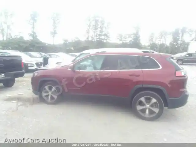 2019 Jeep Cherokee 1C4PJLDB9KD243424 — Iaai auction photo 14