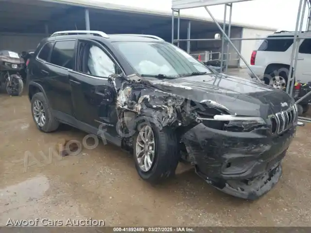 2020 Jeep Grand Cherokee 1C4PJLLB7LD541635 — Iaai auction photo 1