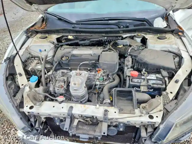 2014 Honda Accord 1HGCR2F38EA000847 — Copart auction photo 11