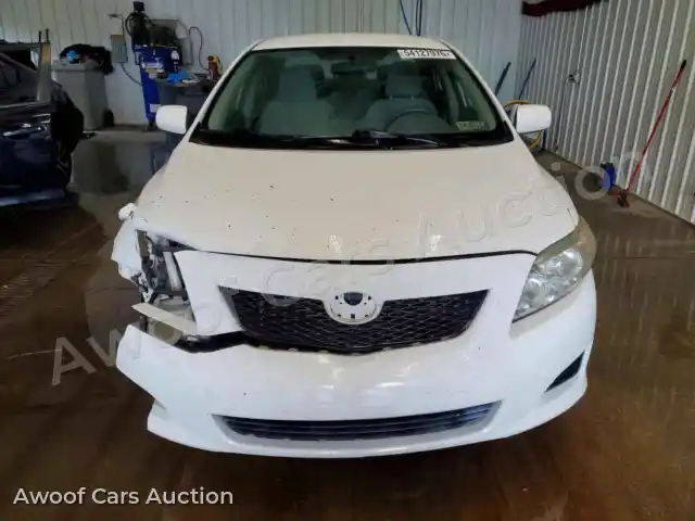 2010 Toyota Corolla 2T1BU4EE8AC244365 — Copart auction photo 5