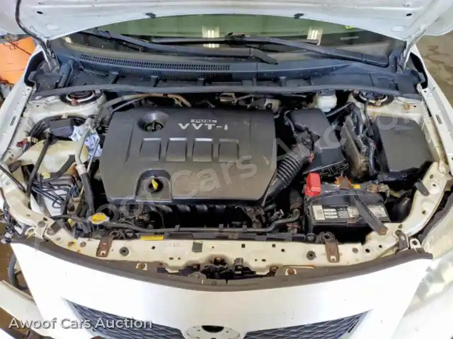 2010 Toyota Corolla 2T1BU4EE8AC244365 — Copart auction photo 11