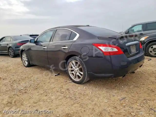 2011 Nissan Maxima 1N4AA5AP0BC827031 — Copart auction photo 2