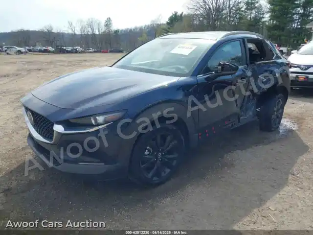 2021 Mazda CX-30 3MVDMBAY1MM309628 — Iaai auction photo 2