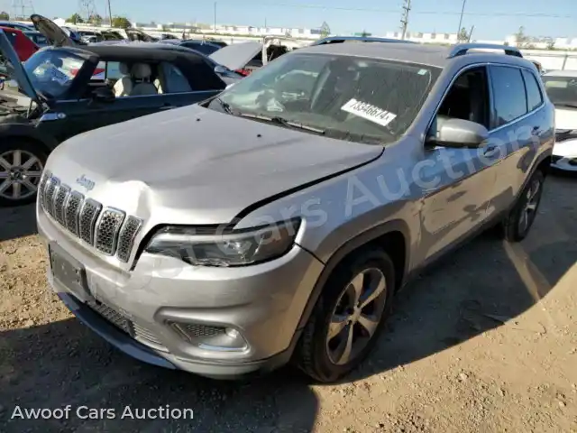 2019 Jeep Grand Cherokee 1C4PJLDX5KD129870 — Copart auction photo 1