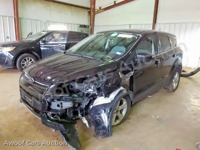 2015 Ford Escape 1FMCU0G77FUB79803 — Copart auction photo 2