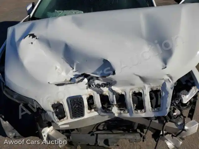 2019 Jeep Grand Cherokee 1C4PJLCBXKD312638 — Copart auction photo 12