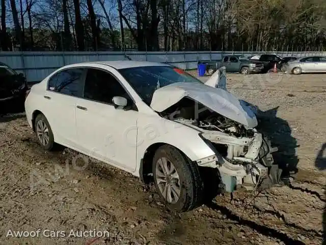 2014 Honda Accord 1HGCR2F34EA241062 — Copart auction photo 13