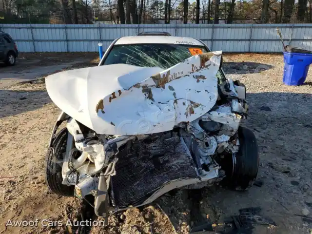2014 Honda Accord 1HGCR2F34EA241062 — Copart auction photo 5