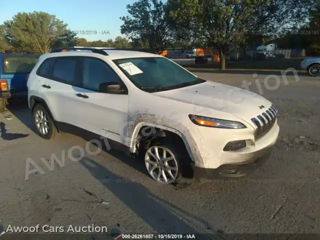 2017 Jeep Cherokee 1C4PJLAB3HW541243 — photo 1 de la vente Iaai
