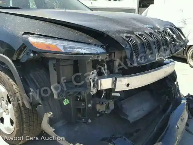 2014 Jeep Cherokee 1C4PJLAB9EW313162 — Copart auction photo 9