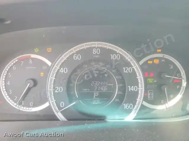 2013 Honda Accord 1HGCR2F85DA025456 — Copart auction photo 9