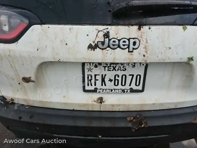 2019 Jeep Grand Cherokee 1C4PJLLB0KD184233 — photo 17 de la vente Manheim