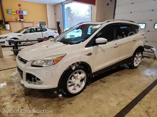2014 Ford Escape 1FMCU9J98EUA73017 — Copart auction photo 1