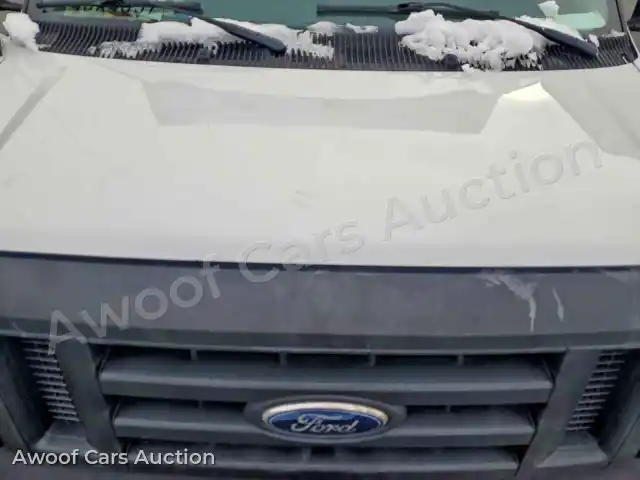 2015 Ford Econoline 1FDWE3FS0FDA24561 — Copart auction photo 12