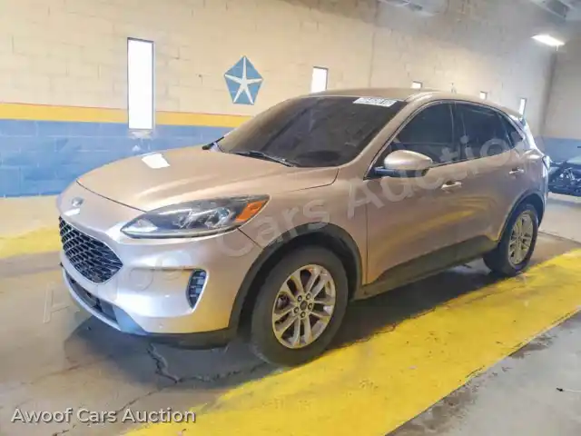 2020 Ford Escape 1FMCU0G66LUA51250 — Copart auction photo 1